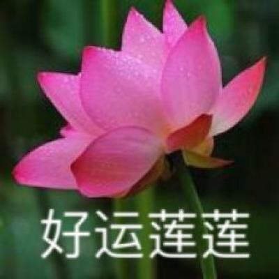 城市速度漂移官方版下载