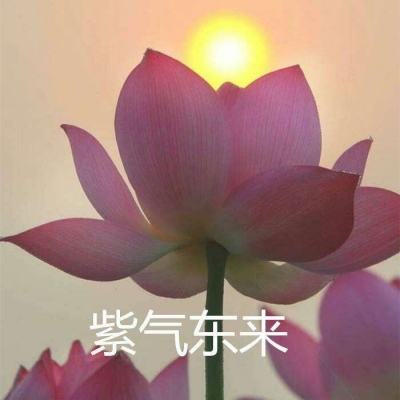 星空消消消官方版下载
